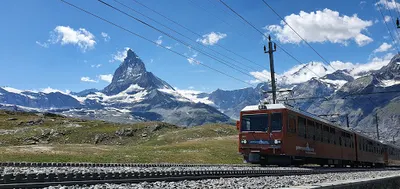 Prywatny Gabinet Ortopedyczny dr n. med. Piotr Zając